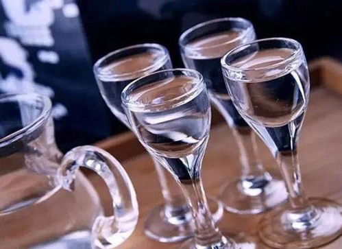 飲酒量如何計算？學會這些方法，快速評估你的酒量