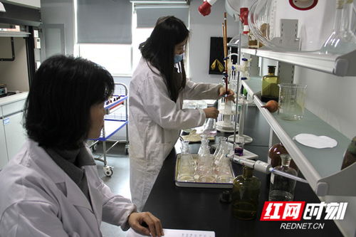 常德水文中心深化灌區水質監測，為水資源精細化管理注入新動能